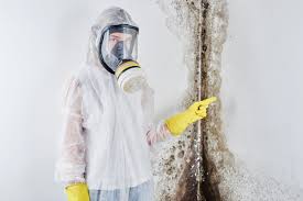 Best Mold Damage Restoration  in Pittsboro, IN